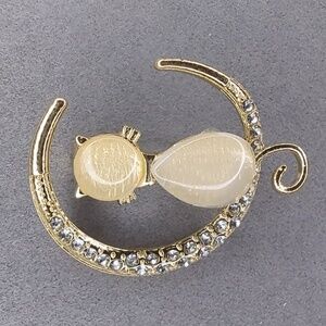 Cat Sitting On The Moon Brooch